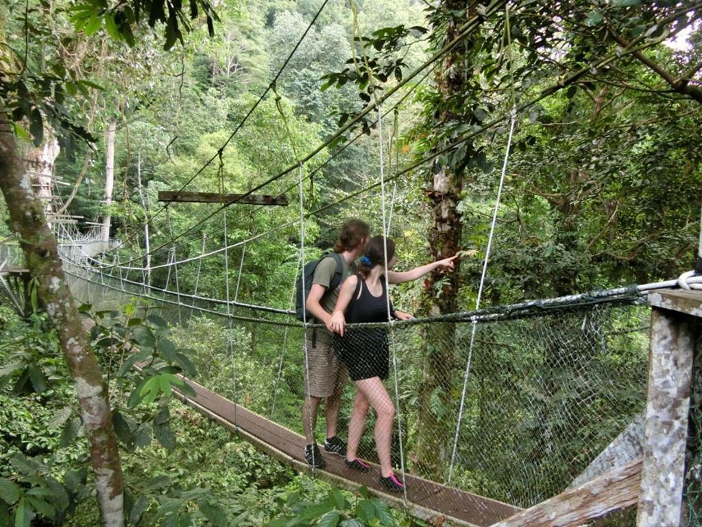 Готель Mulu National Park Екстер'єр фото